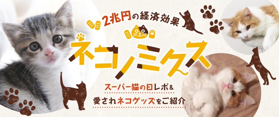 2兆円の経済効果「ネコノミクス」|スーパー猫の日レポ&愛されネコグッズをご紹介!